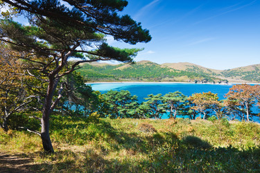 Similar image 400214