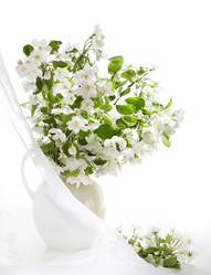 Similar image 400328