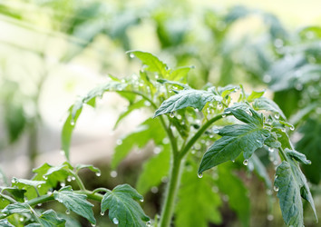 Similar image 400331