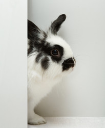 Similar image 400444