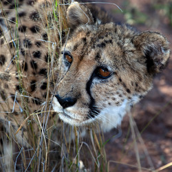 Similar image 400470