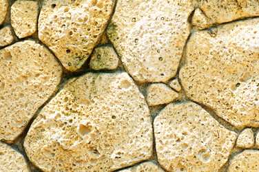 Similar image 400505