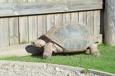 Similar image 400517