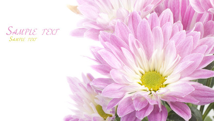 Similar image 400583