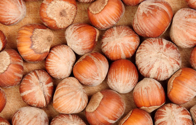 Similar image 400654