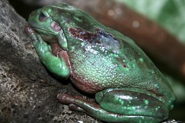 Similar image 400679