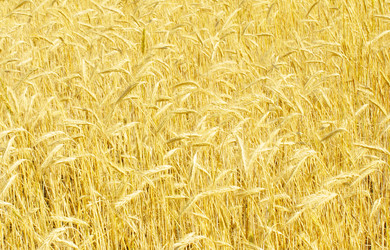 Similar image 400680