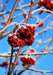 Similar image 400712