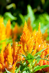 Similar image 400751