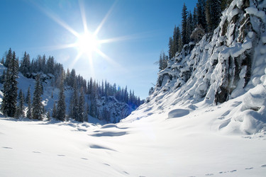 Similar image 400822