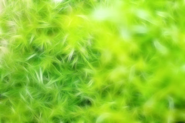 Similar image 400847