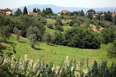 Similar image 400862