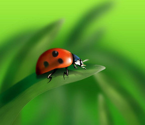 Similar image 400901