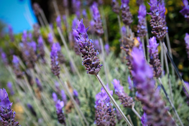 Similar image 400956