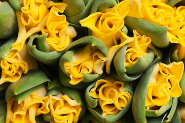 Similar image 400958