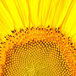 Similar image 400986