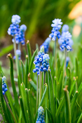 Similar image 401128