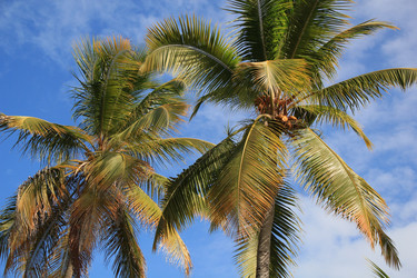 Similar image 401132