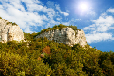 Similar image 401134