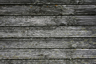 Similar image 401165