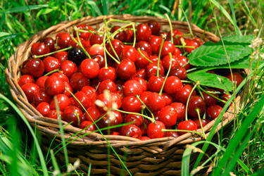 Similar image 401177