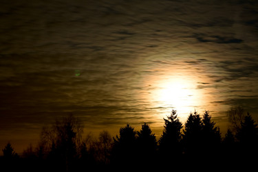 Similar image 401193