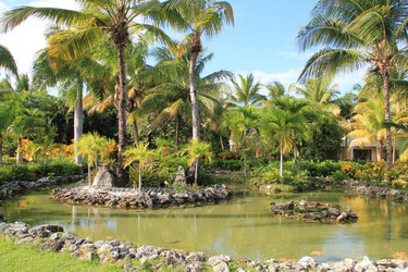 Similar image 401267