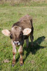 Similar image 401297