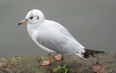 Similar image 401298