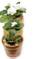 Similar image 401302