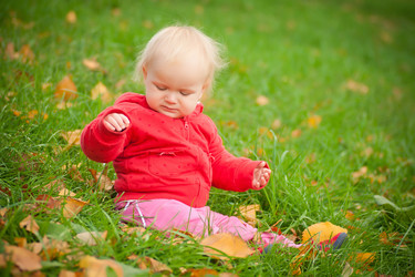 Similar image 401303