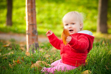 Similar image 401305