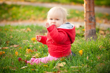 Similar image 401307