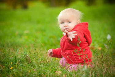 Similar image 401308