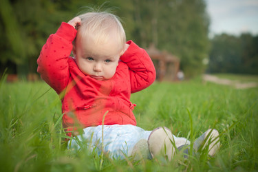 Similar image 401310