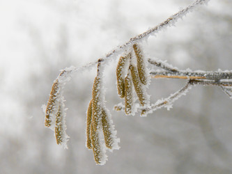 Similar image 401319