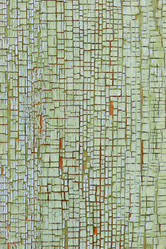 Similar image 401370