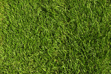 Similar image 401378