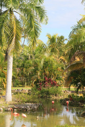 Similar image 401390