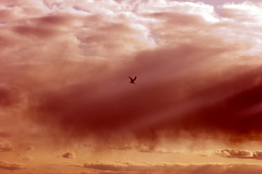 Similar image 401391