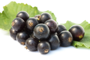 Similar image 401393