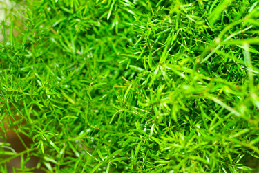 Similar image 401461