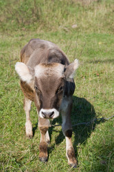 Similar image 401533