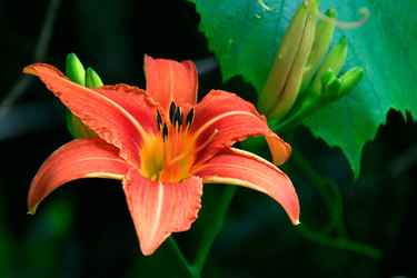 Similar image 401557