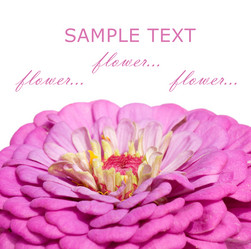 Similar image 401679