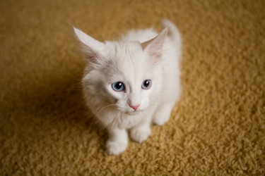 Similar image 401746