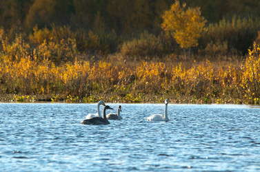 Similar image 401752