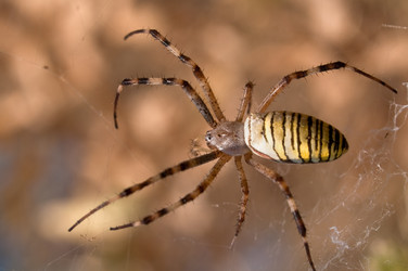 Similar image 401821