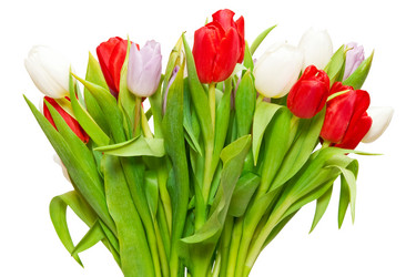 Similar image 401840