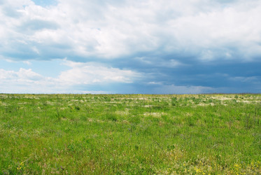 Similar image 401843